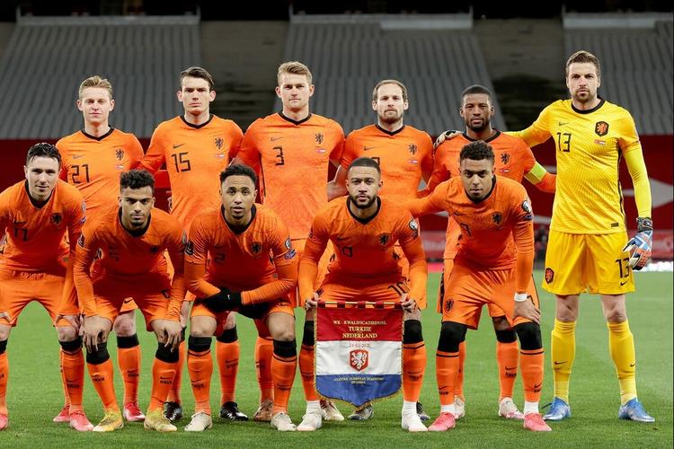 欧洲杯各队阵容荷兰（欧洲杯荷兰主力阵容）