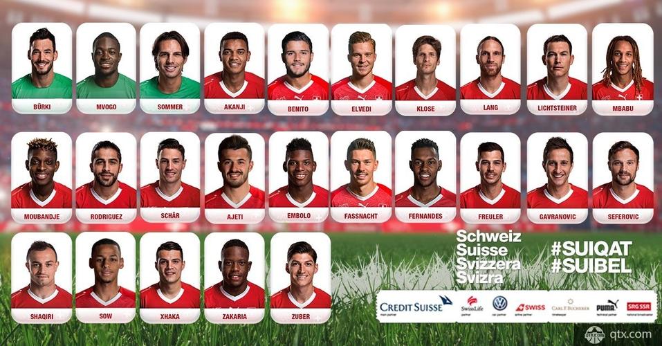瑞士足球欧洲杯阵容（瑞士欧洲杯球员名单）