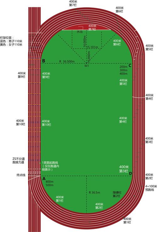 体育场外围绿色跑道（体育场外圈跑道多少米一圈长多少米）