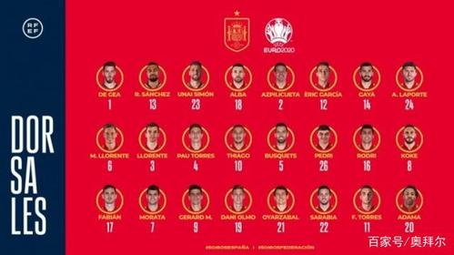 欧洲杯西班牙名单争议（欧洲杯西班牙队球员名单）
